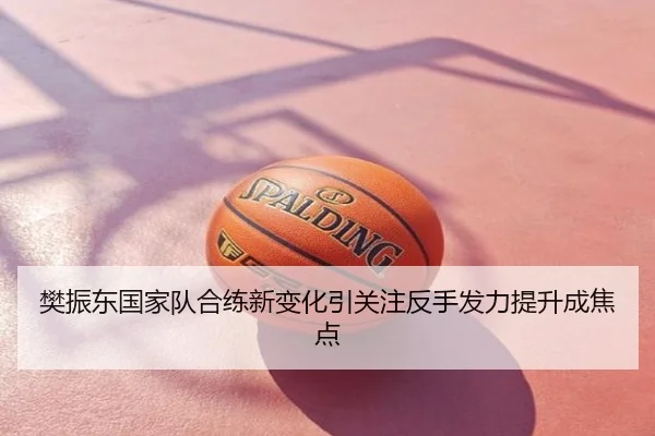 樊振东国家队合练新变化引关注反手发力提升成焦点